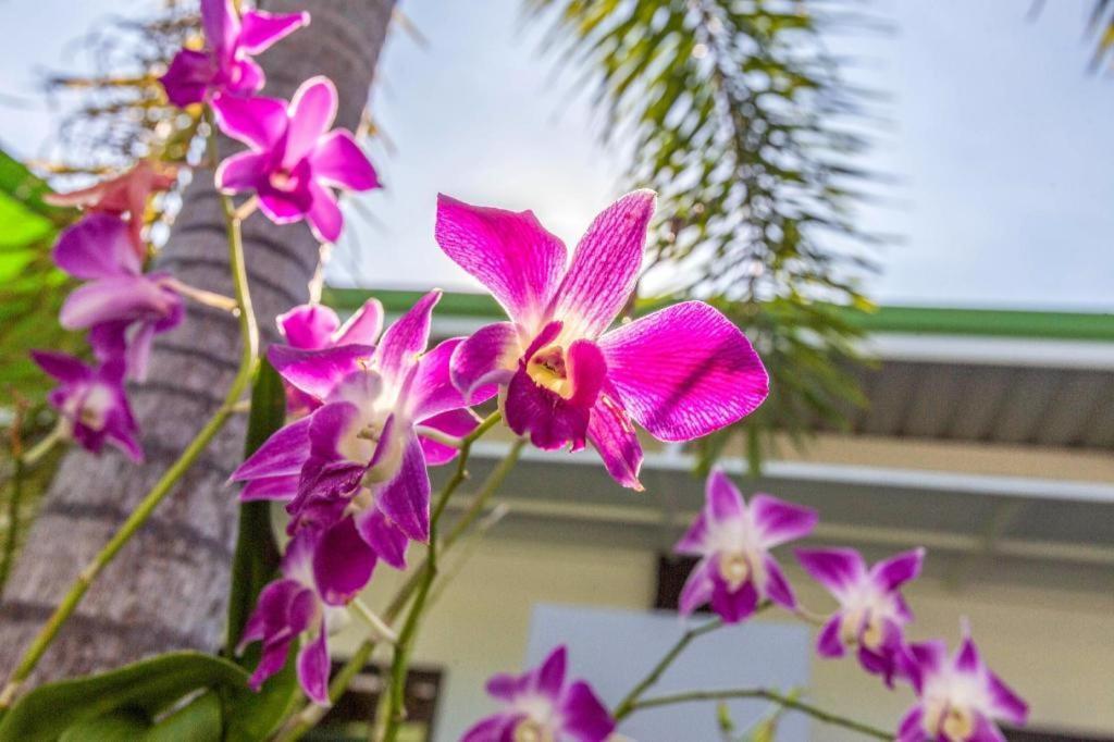 Oyo450拉威公寓度假村 Rawai 外观 照片